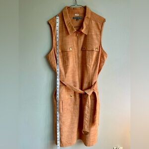 Sharagano Terracotta Sleeveless Mini Dress